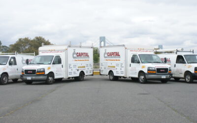 How to Protect Your Staten Island Home’s Plumbing from Summer Storms
